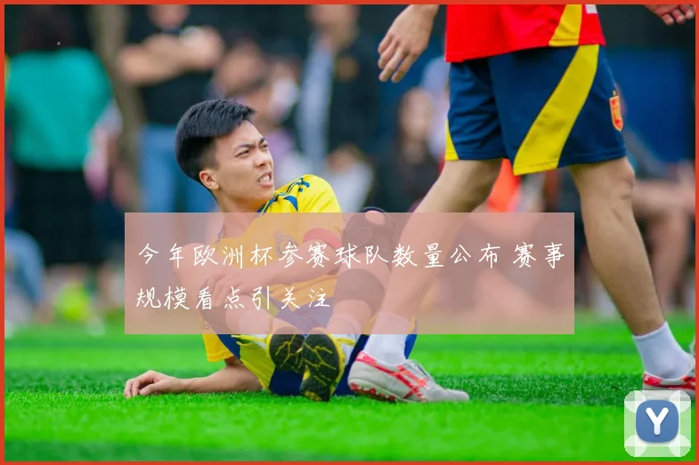 今年欧洲杯参赛球队数量公布 赛事规模看点引关注