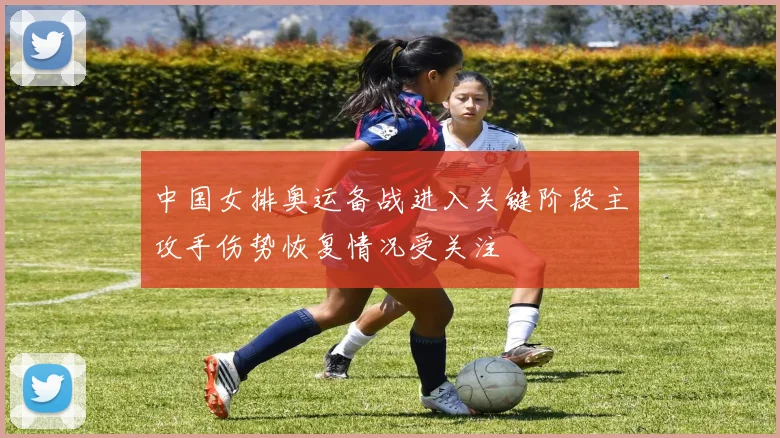 中国女排奥运备战进入关键阶段主攻手伤势恢复情况受关注
