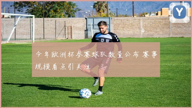 今年欧洲杯参赛球队数量公布 赛事规模看点引关注